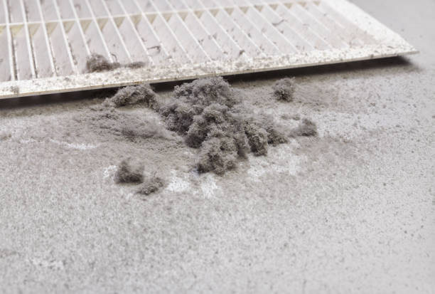 Air Duct Mold Removal in Lake Dalecarlia, IN