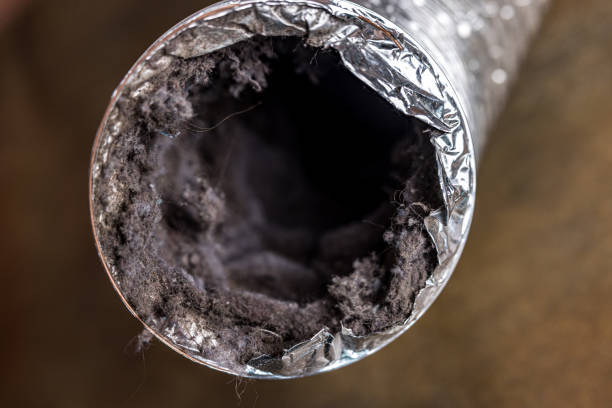Best Local Air Duct Cleaning Services  in Lake Dalecarlia, IN
