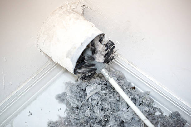 Best Air Duct Sanitizing Services  in Lake Dalecarlia, IN